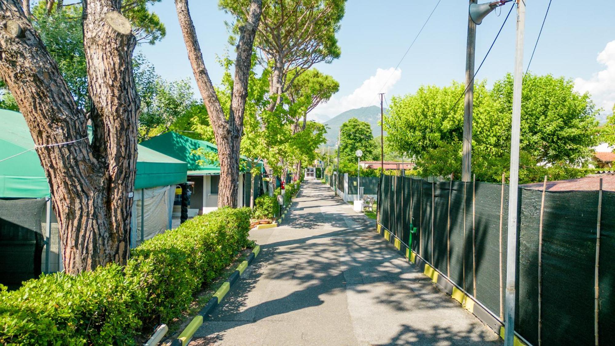 Camping Apuano مارينا دي ماسا المظهر الخارجي الصورة